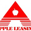 Apple Lease Returns